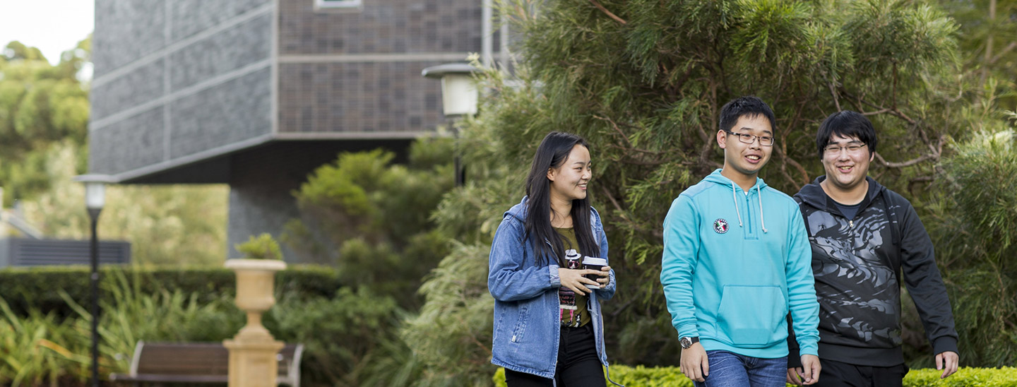 Students walking around campus together